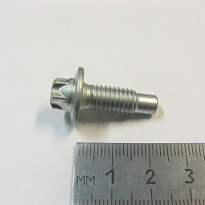 Болт М8х22 крепления подушки 2110 фланц., звезд. (ОАО «БелЗАН») 21100-1001259-028 (упак 50шт)